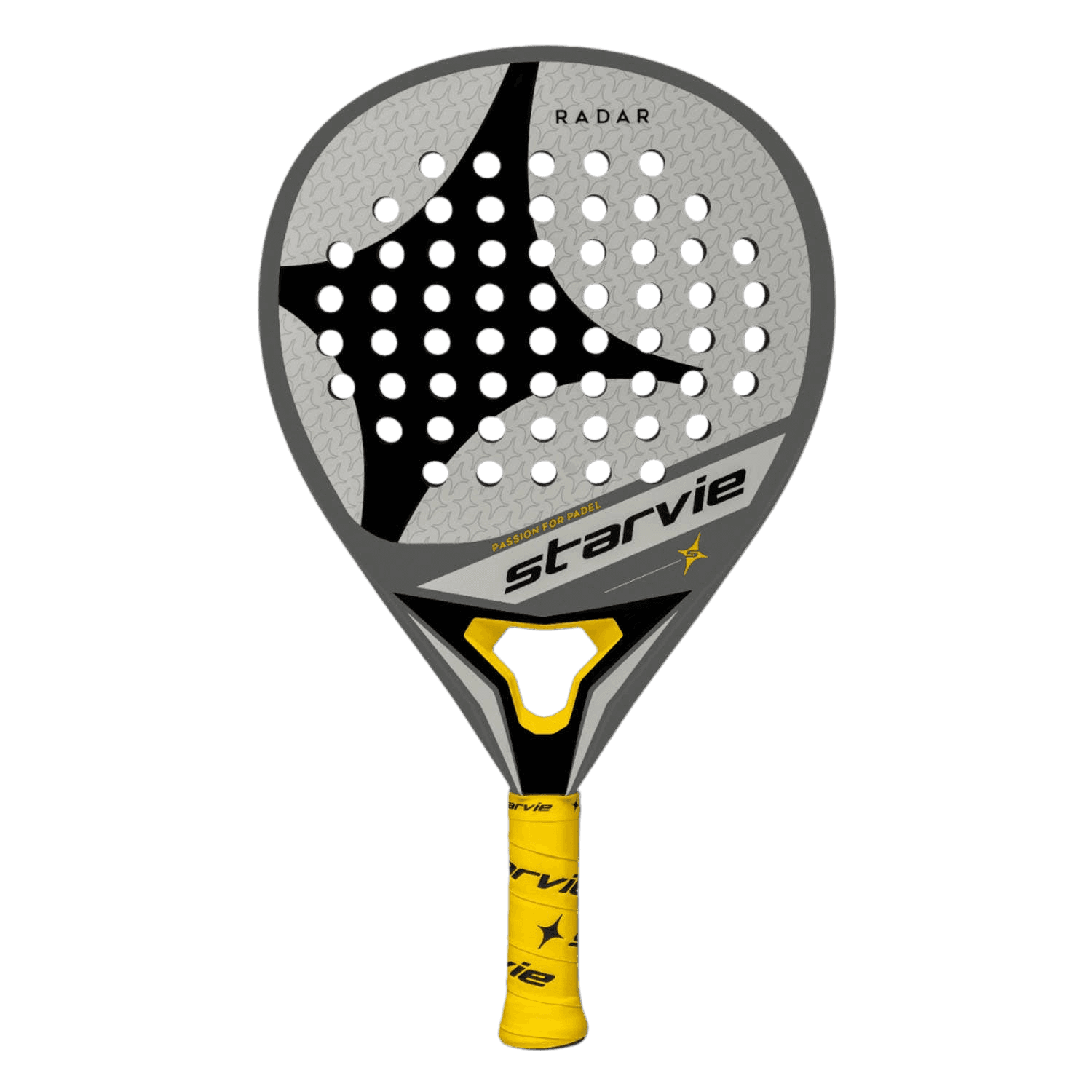 Starvie RADAR 2024